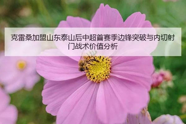 ke-lei-sang-jia-meng-shan-dong-tai-shan-hou-zhong-chao-shou-sai-ji-bian-feng-tu-po-yu-nei-qie-she-men-zhan-shu-jia-zhi-3-961.jpg
