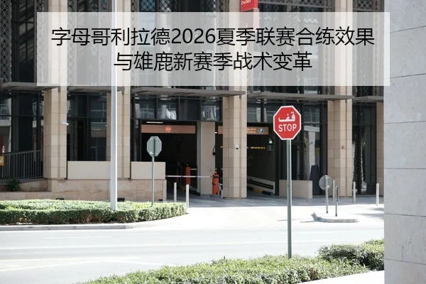 字母哥利拉德2026夏季联赛合练效果与雄鹿新赛季战术变革